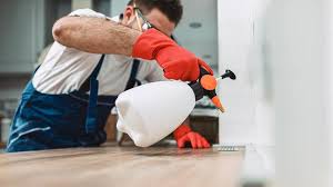 Best Residential Pest Control  in Palmhurst, TX